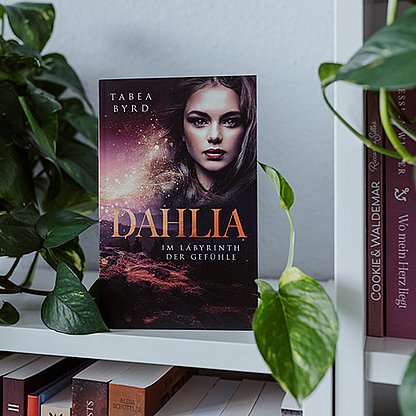 Buchcover von Dahlia - Im Labyrinth der Gefühle